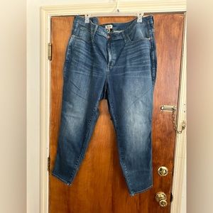 Brand New Madewell High Rise Skinny Jeans Plus 26w